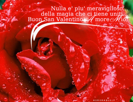 san_valentino_rosa_rossa