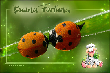 buona-fortuna