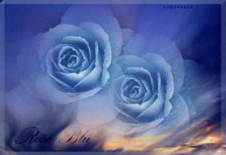 rose blu